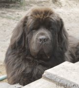 Превью фото № 189224