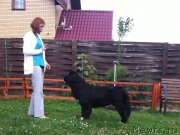 Превью фото № 189279