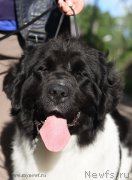 Превью фото № 189316