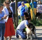 Превью фото № 18946