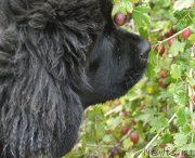 Превью фото № 189505