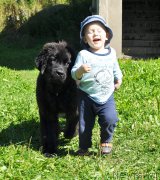 Превью фото № 189516