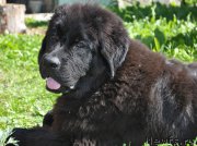 Превью фото № 189517