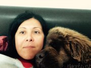 Превью фото № 189600