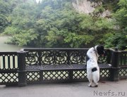 Превью фото № 189639