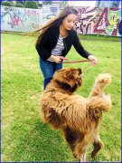 Превью фото № 189698