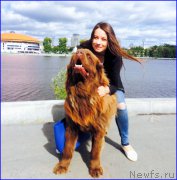 Превью фото № 189707