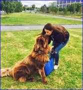 Превью фото № 189709