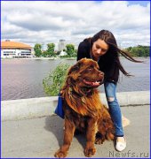 Превью фото № 189710