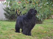 Превью фото № 189713