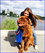 Превью фото № 189715