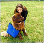 Превью фото № 189716