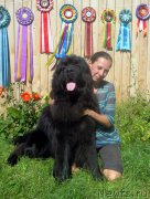 Превью фото № 189724