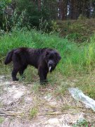 Превью фото № 189726