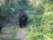 Превью фото № 189752