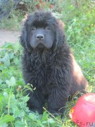 Превью фото № 189753