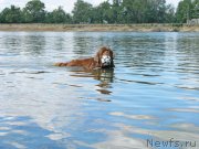 Превью фото № 189755