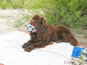 Превью фото № 189757