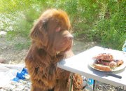 Превью фото № 189759