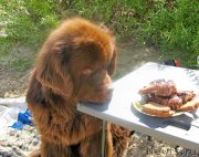 Превью фото № 189760