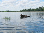 Превью фото № 189762