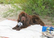 Превью фото № 189764