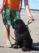 Превью фото № 189791