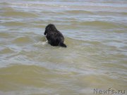 Превью фото № 189792