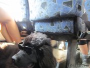 Превью фото № 189800