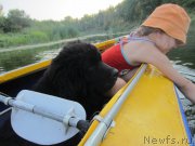 Превью фото № 189801