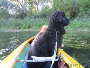 Превью фото № 189802