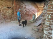 Превью фото № 189818