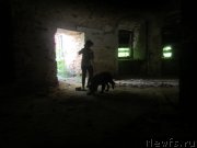 Превью фото № 189821