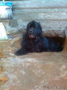 Превью фото № 189824