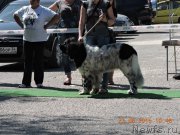 Превью фото № 189829