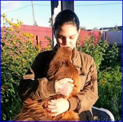 Превью фото № 189851