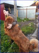 Превью фото № 189854