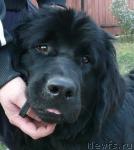 Превью фото № 18986