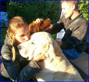 Превью фото № 189860