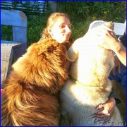 Превью фото № 189861