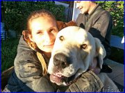 Превью фото № 189864