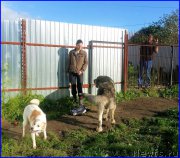 Превью фото № 189875