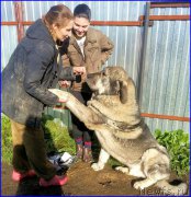 Превью фото № 189876