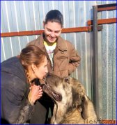 Превью фото № 189877