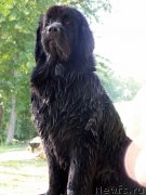 Превью фото № 189910