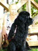 Превью фото № 189911