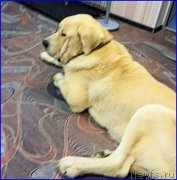 Превью фото № 189914