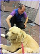 Превью фото № 189916