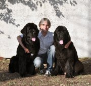 Превью фото № 189955