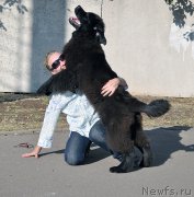 Превью фото № 189962